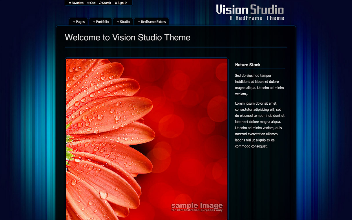 Redframe Vision Studios Design Template