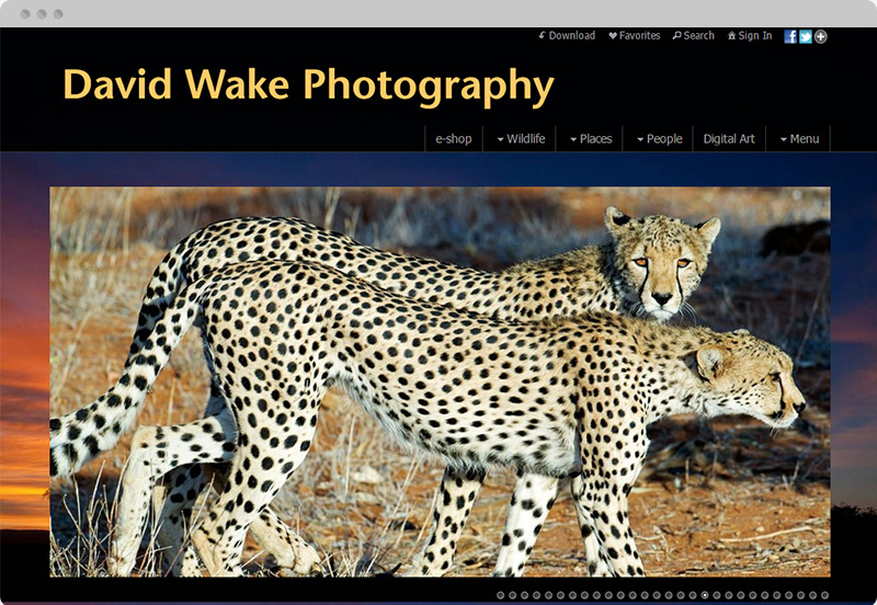 Redframe Photography Websites Client Example - David Wake Photography