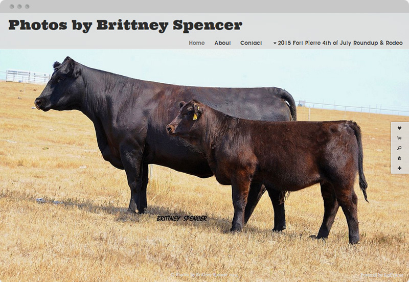 Redframe Photography Websites Client Example - Photos By Brittney Spencer