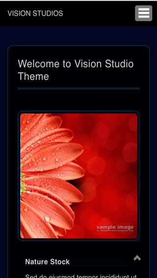 Redframe Vision Studio phone screen